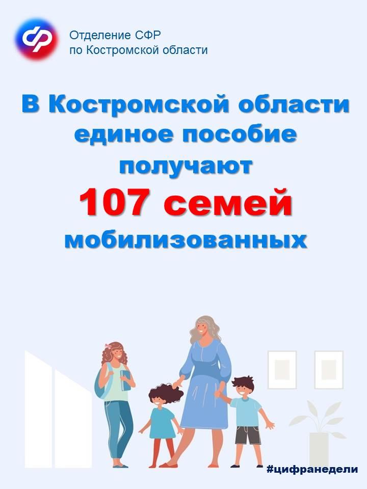 В Костромской области единое пособие на детей получают более 100 семей мобилизованных