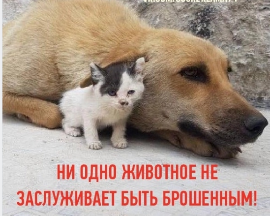 ВНИМАНИЕ, УВАЖАЕМЫЕ ДАЧНИКИ И САДОВОДЫ!