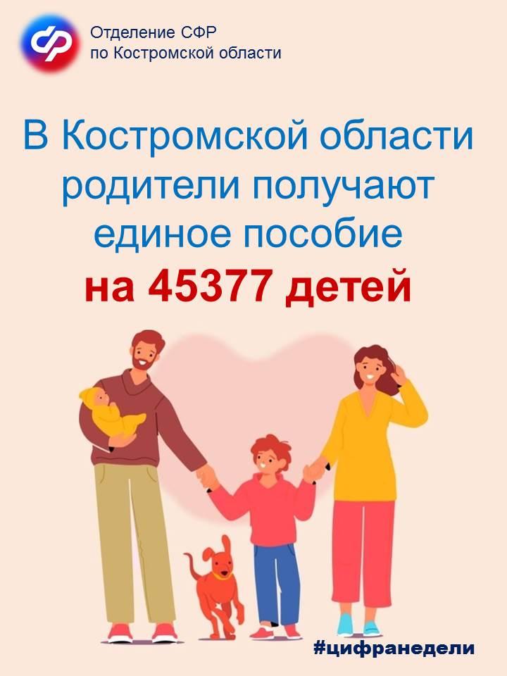 В Костромской области родители получают единое пособие на 45 тысяч детей