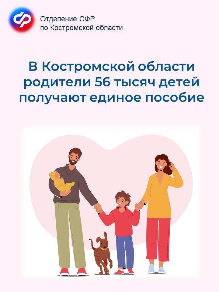 В Костромской области единое пособие получают родители 56 тысяч детей